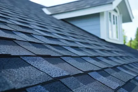 roof-shingle-service-img